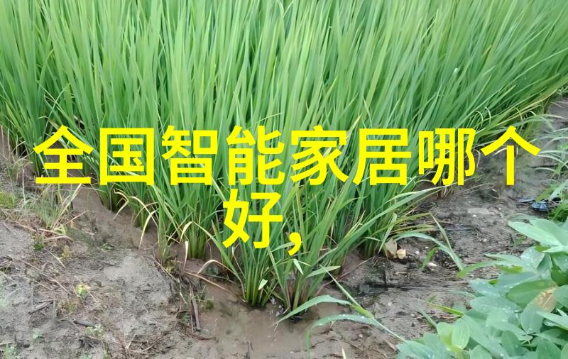 药品包装机械科技助力药品安全与便捷