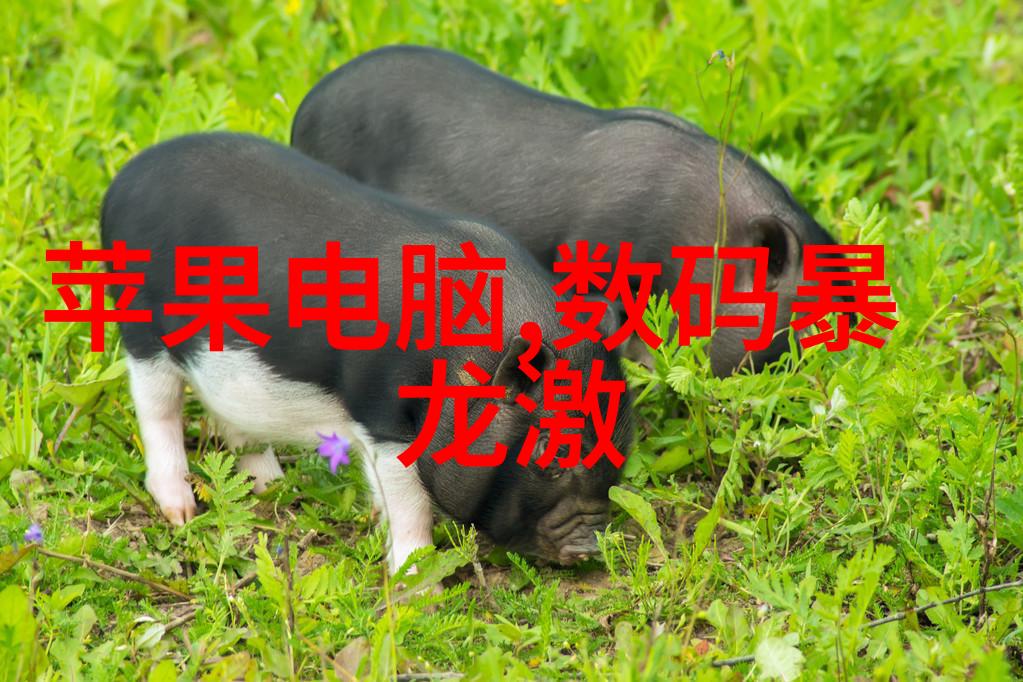 什么因素会影响小型活性炭设备所制成的产品质量