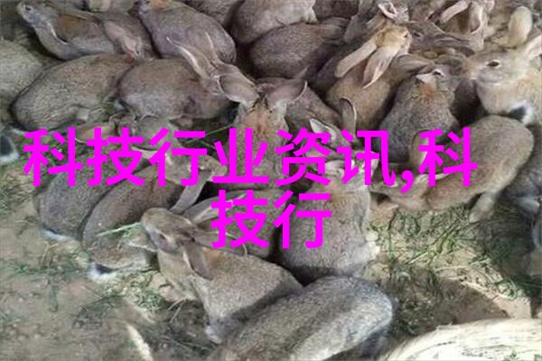 回收变压器的正确途径节约资源保护环境
