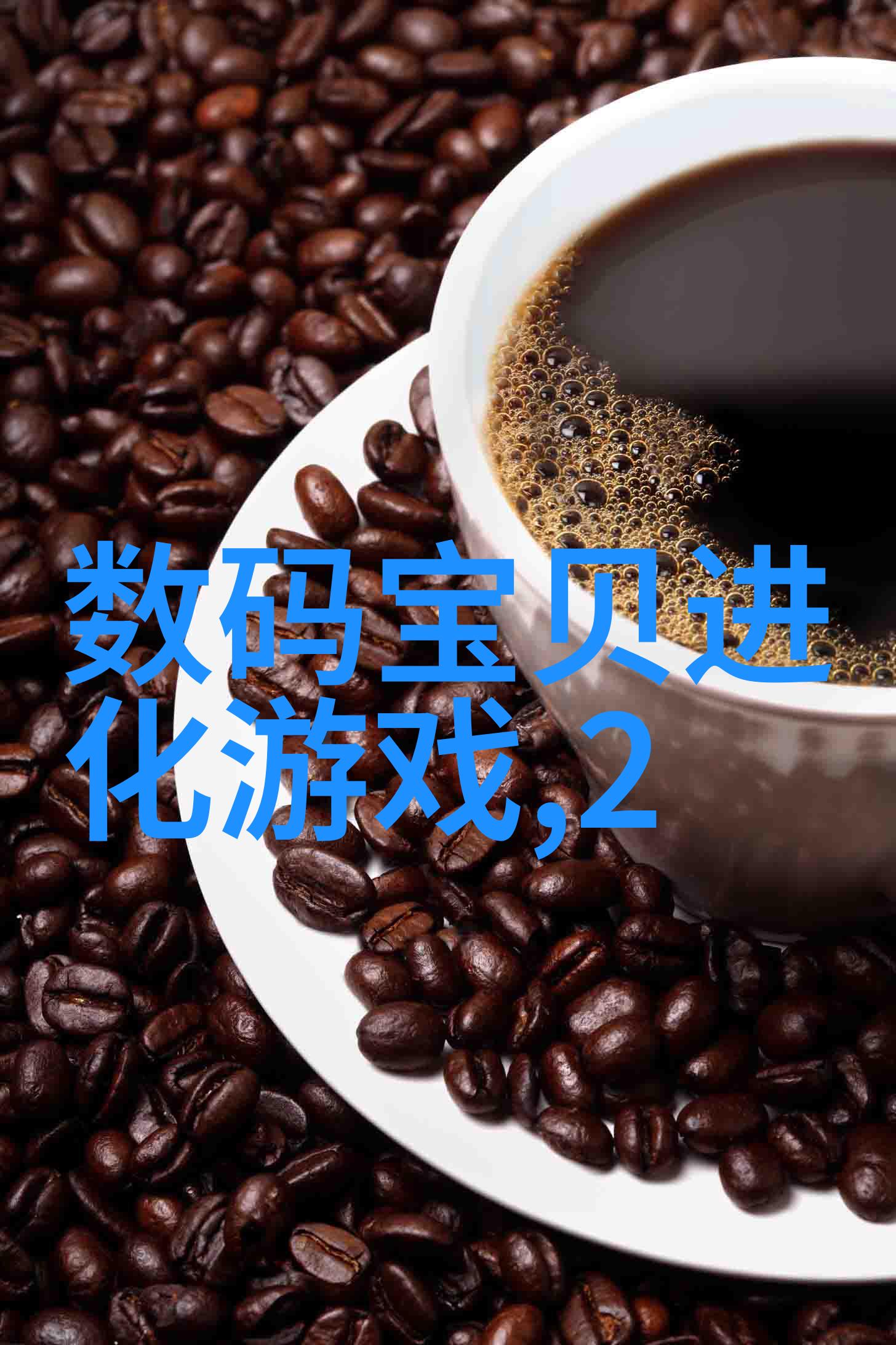 膜及膜组件-探究膜技术及其在现代工业中的应用