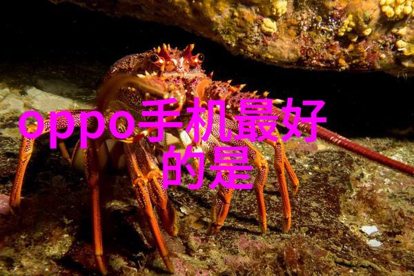 环境保护-绿色循环如何高效回收各类废旧设备