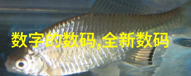小型工业污水处理一体机的工作原理是什么