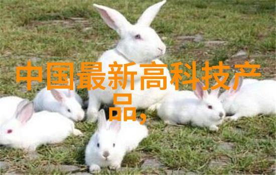 货车配件批发市场的现状与发展趋势研究