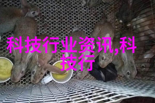 不锈钢柜子背后的故事光与影的交织