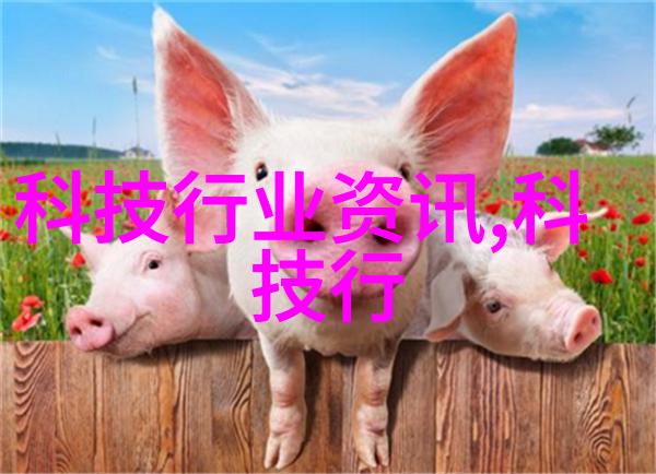 颗粒剂机械生产线高效稳定的颗粒剂制造系统