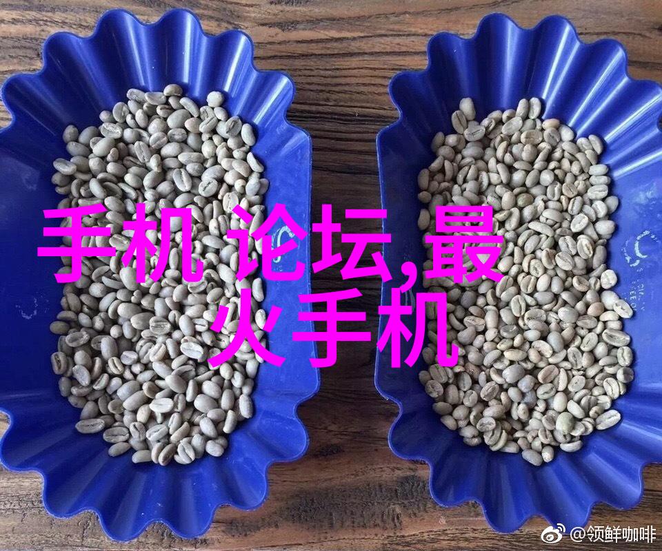 塑料梦工厂揭秘PVC配方的魔力与挑战