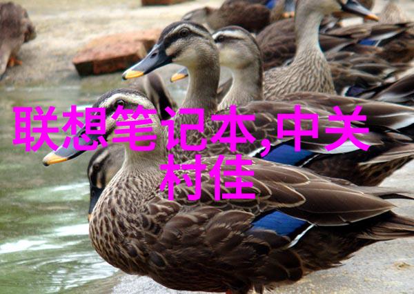 个人如何检测水质 - 水源探测揭秘家庭用水的清洁度