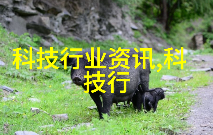 在上海成为洗霸需要具备什么条件