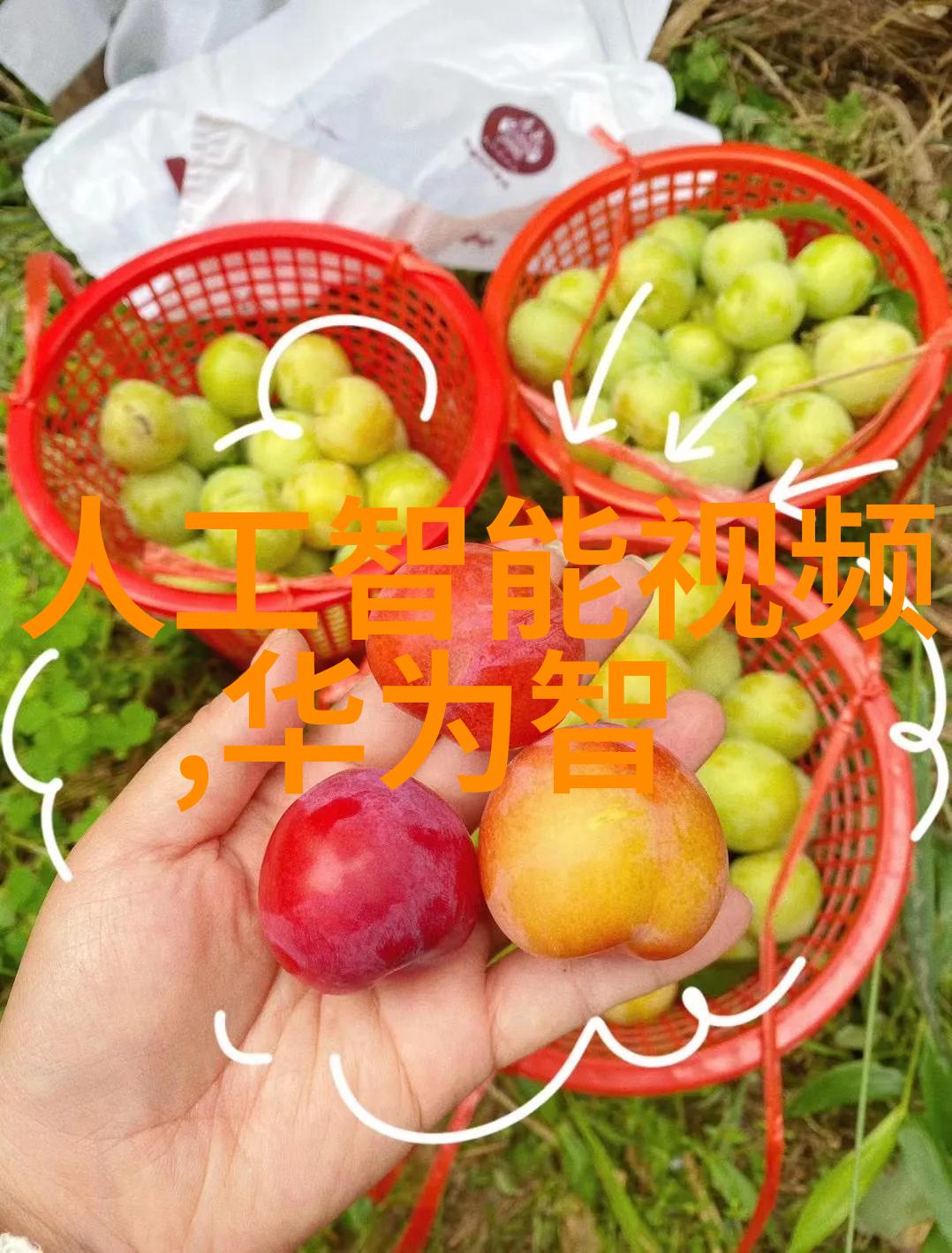 食品工业中的高压蒸汽灭菌锅应用案例