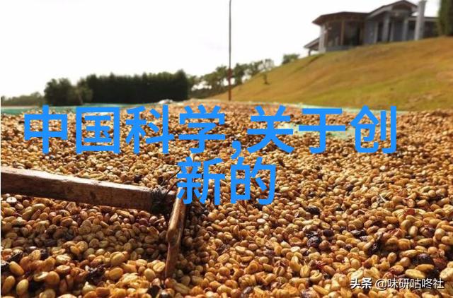 甜到犯规探索情感与欲望的边界
