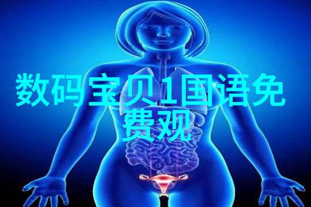 热交换器技术高效能热量传递系统