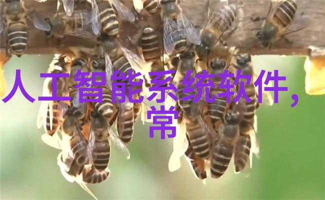 油水分离器的神秘内部液体之舞与分离之谜