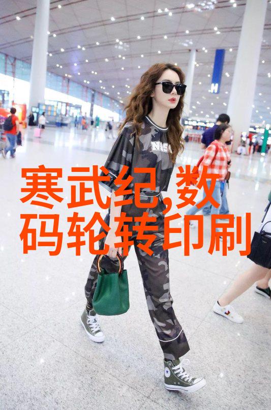 干燥设备设计原理与应用探究新型热空气流动模式在物料干燥中的优化