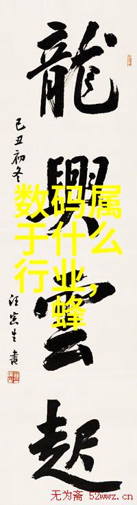 个人专利申请之轮椅车摆锤冲击试验机双重考验于安全与创新之间