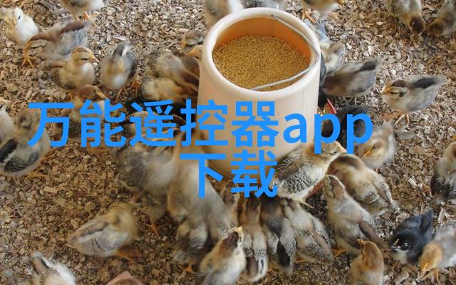 窝窝午夜看片我是怎么在午夜时分找到了这段宝贵的独处时光