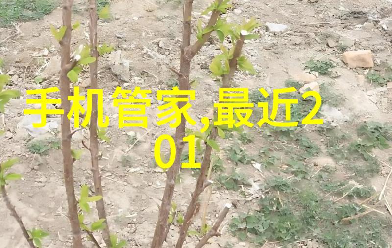 立式分离器结构图-详解立式分离器工作原理与设计要点