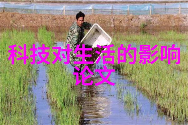 揭秘中央财经大学学术地位是985还是211的荣耀