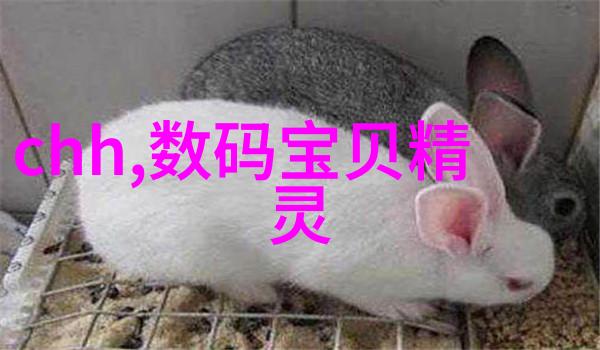 纨绔子弟嫁到豪门婚事的温婉变迁