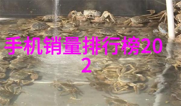 技术创新-精准重量检重机的智能化与可靠性探究