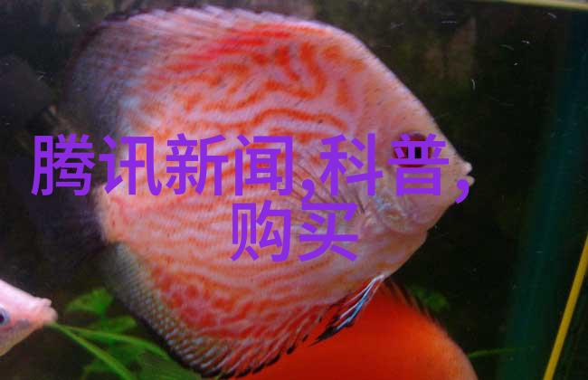 生活小窍门我是如何用PPE防护让工作更安心
