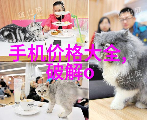拆解与改进的艺术专业安装服务高效拆卸与精准安装