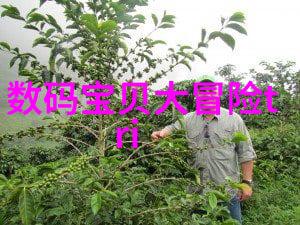 现代卫生间装修风格图鉴追求舒适与时尚的 bathroom 设计艺术