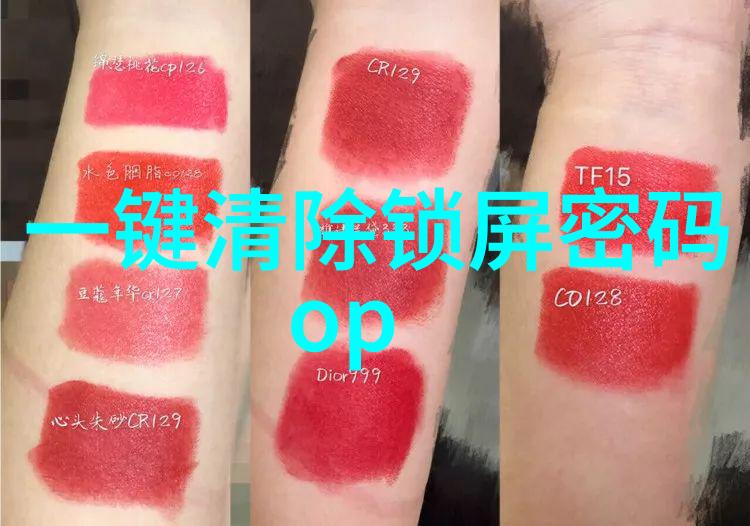 项目资金申请报告编制指南确保成功的资助申请