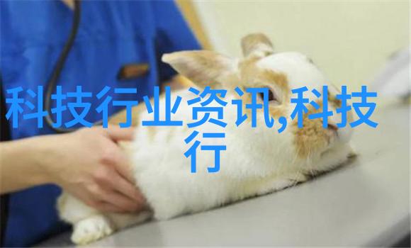 物质的吞吐者一探吸收器的奥秘