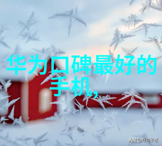 中国半导体行业的领军者芯片巨头的崛起与发展