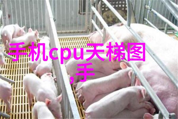 沙石分离机静默的双面者
