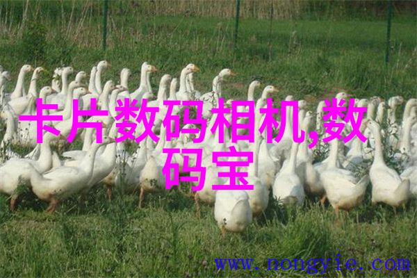 绚丽舞台下的魅惑者演艺圈的魔力与光芒