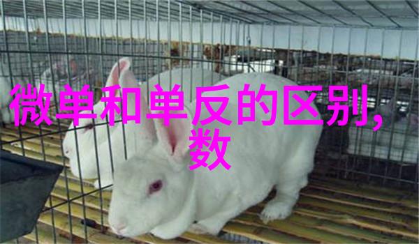 智能制造装备引领产业转型的新动力