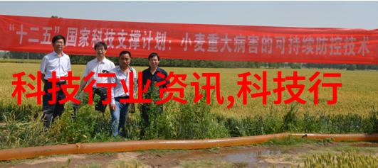 微波杀菌的原理热能效应与分子振动