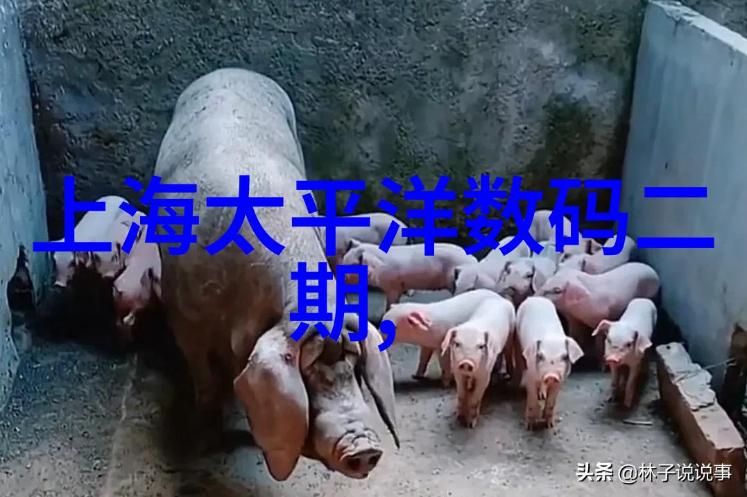 地下暗流探秘城市深处的pe排水管