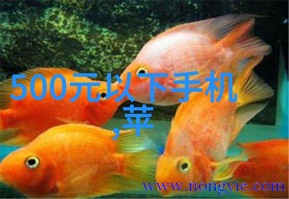从零到英雄的项目管理之旅一个精益化框架
