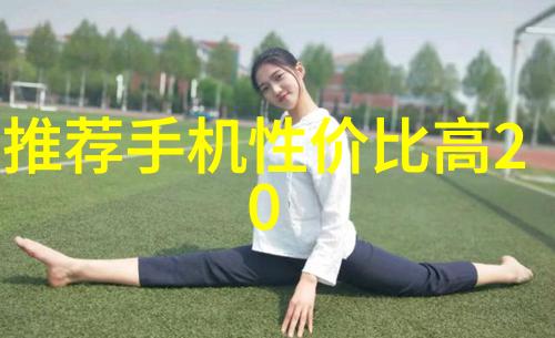 固定流化床反应器是如何实现物料循环利用的
