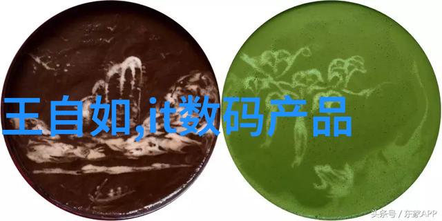 雷蒙机织梦未来的一缕光芒