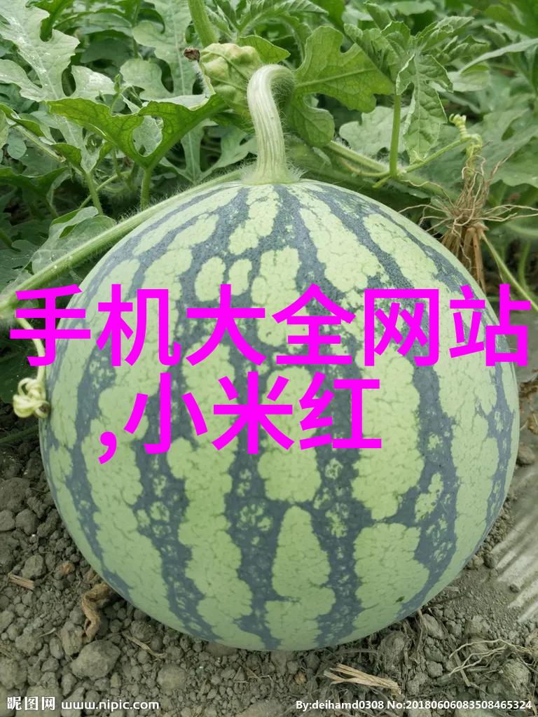 智能交通网 - 智慧连接如何构建高效的城市智能交通网络