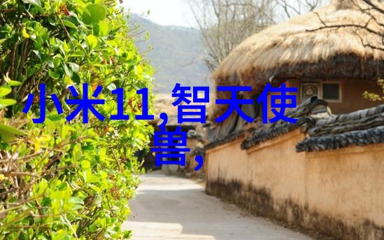 不锈钢丝网填料网工业筛分的卓越选择