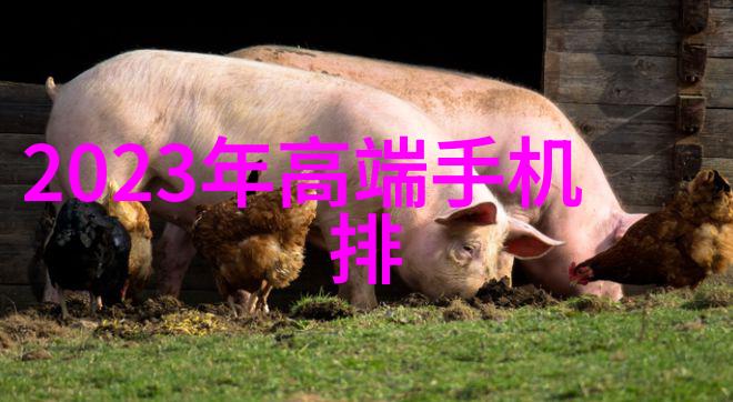 氢气之舞汽化过氧化氢消毒机的诗意守护者