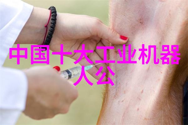 津城变迁一段搬家的人生篇章