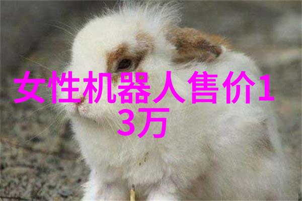 碎石成形一次成型制砂机的奇迹工艺