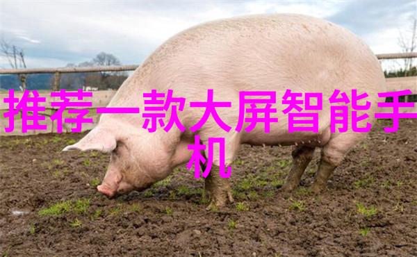 微波炉电子杀菌除味技术高效消毒厨房环境