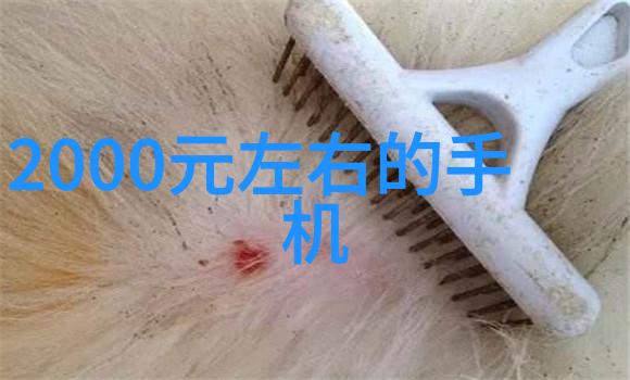 水质检测-tds笔探秘揭秘水质正常范围