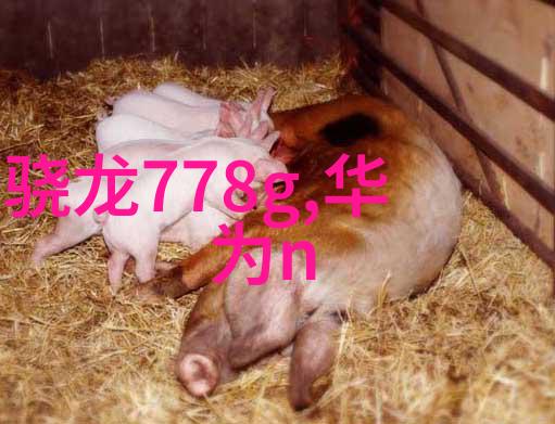 芯片的魅力小巧而强大的数字世界之主