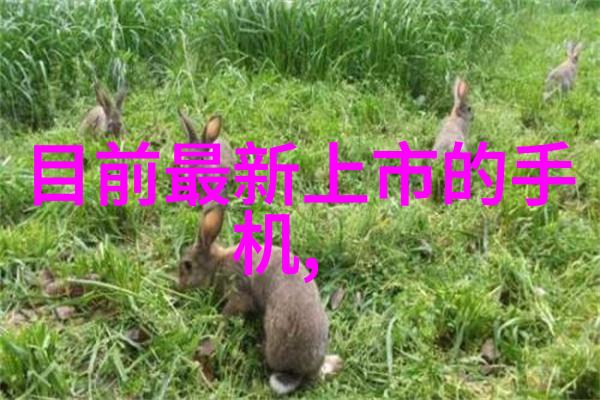 不锈之谜316的沉默杀手