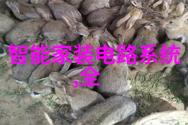 PE排水管材厂家专业生产高质量聚乙烯排水管的企业