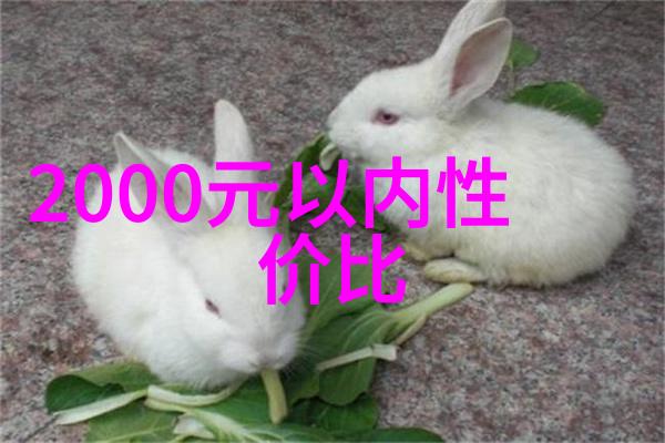 傅先生宠妻如命傅先生对爱情的无尽追求和对妻子的极致宠爱
