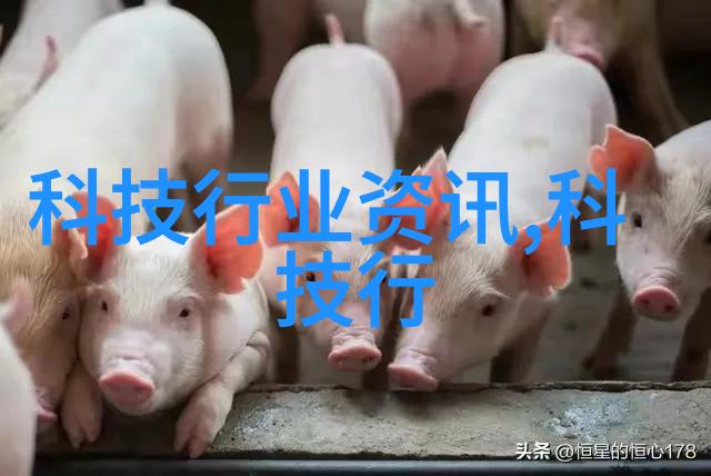 村落中的记忆遗失探索健忘之谜与迅雷下载的秘密