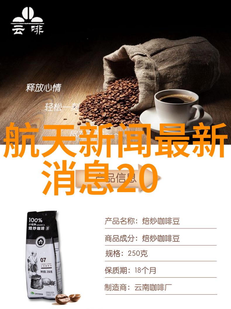学术交流与创新实践天津中德应用技术大学的独特之处